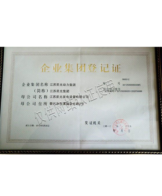 星光動力集團(tuán)登記證