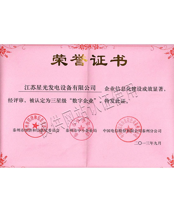 三星級數(shù)字企業(yè)